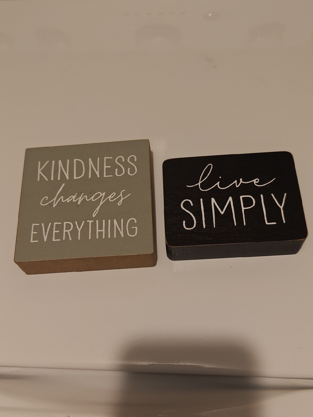 Set of 2 Decorative Wooden Signs - Sage Green & Black